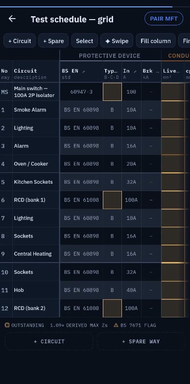 The test schedule grid filled with the 12 circuits, their BS EN numbers, device types and ratings